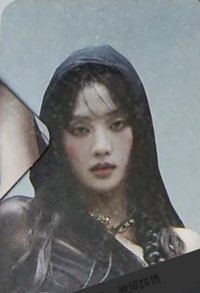 正規二快閃 周邊卡 卡冊卡