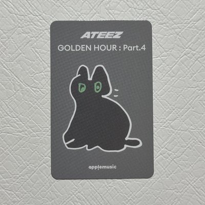 ATEEZ｜塗鴉貓咪榮🐈‍⬛（含單封