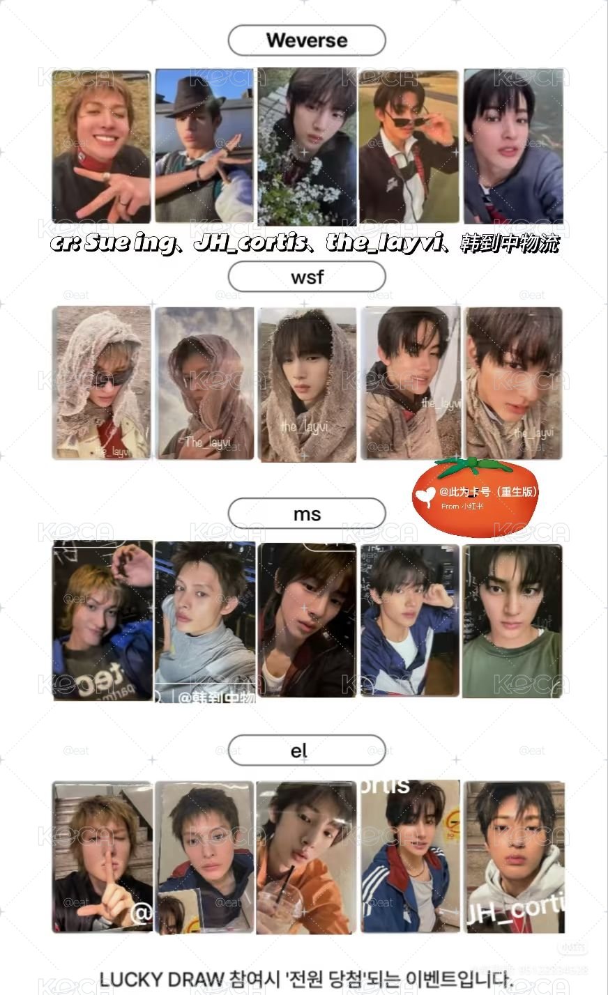 whosfan 通路特典 只有卡