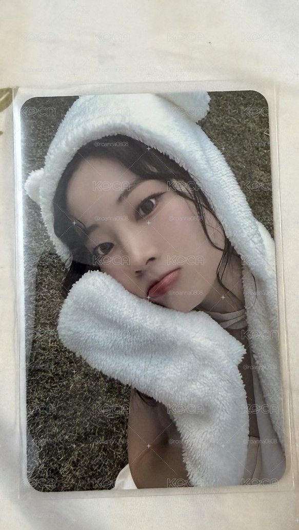 白熊豆