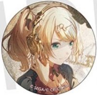 細閃 vol.10 B 徽章 BFes花後