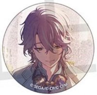 細閃 vol.10 B 徽章 BFes花後