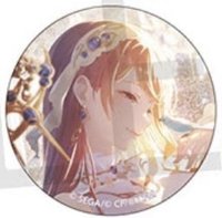 細閃 vol.10 B 徽章 BFes花後