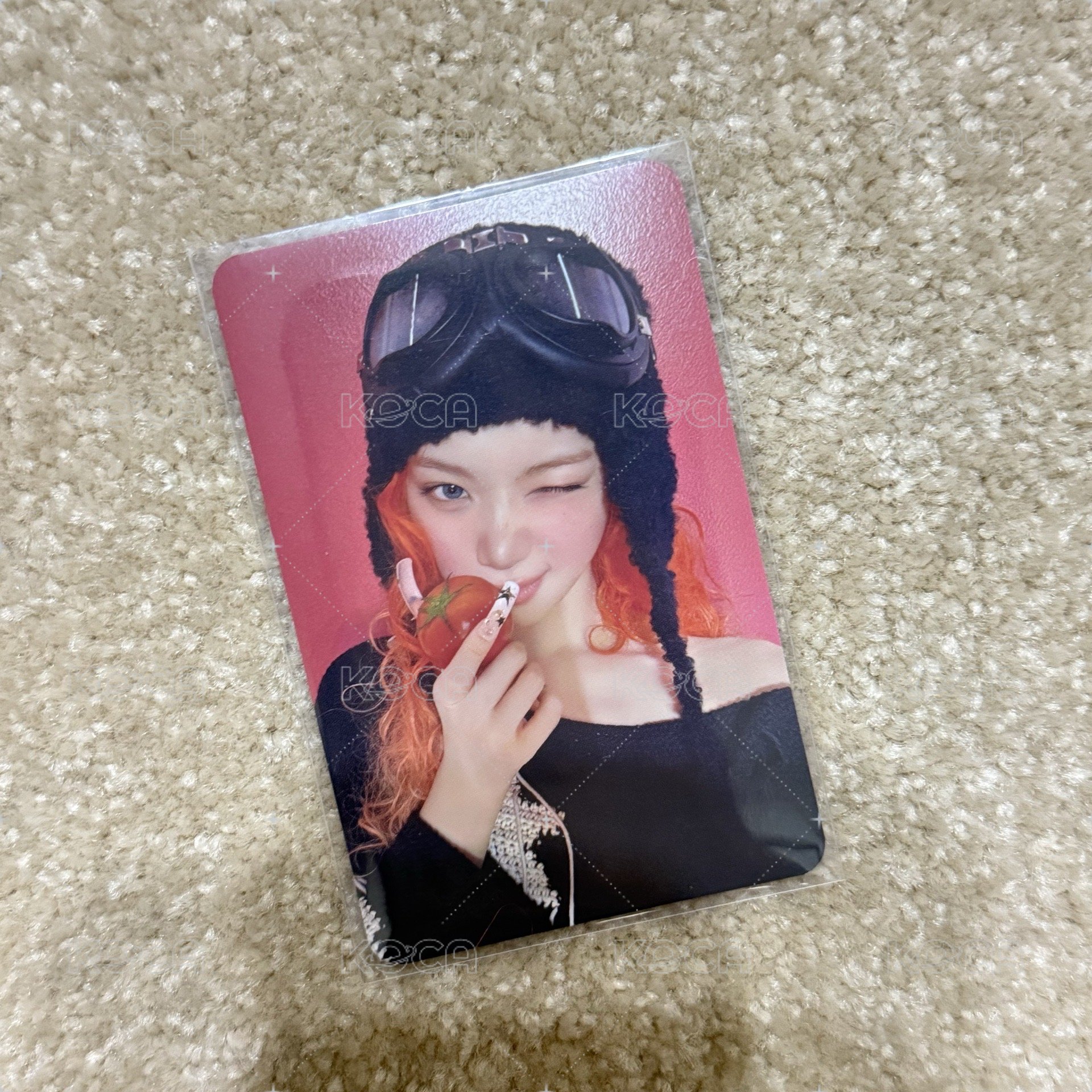 ms台北簽售中背采