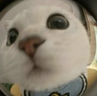 uu