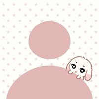 哪來的橘咪
