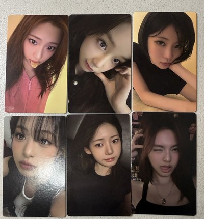 【現貨】WVS單封預售Ver.D（一套）
