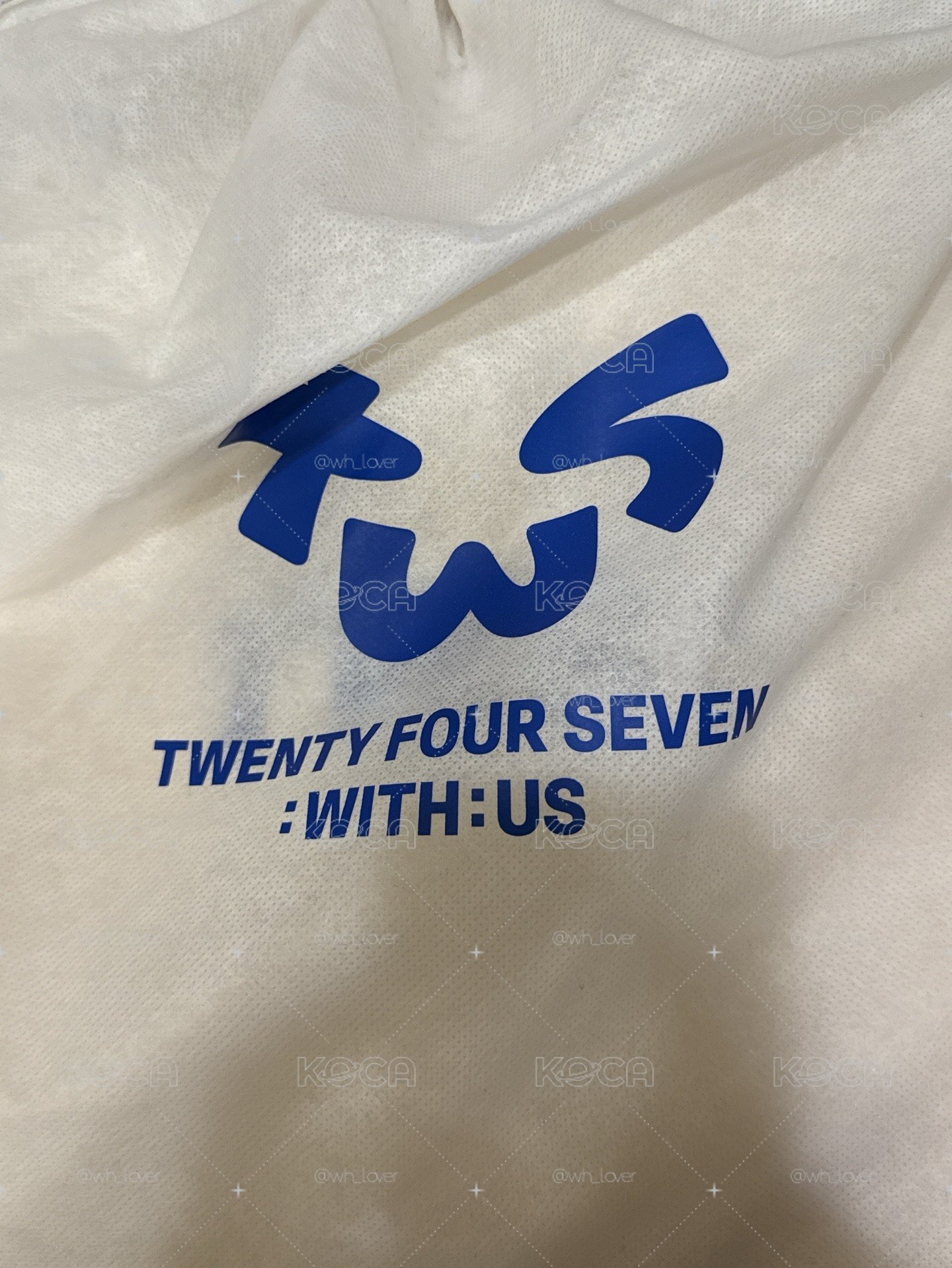 TWS fan party 逆應援抱枕
