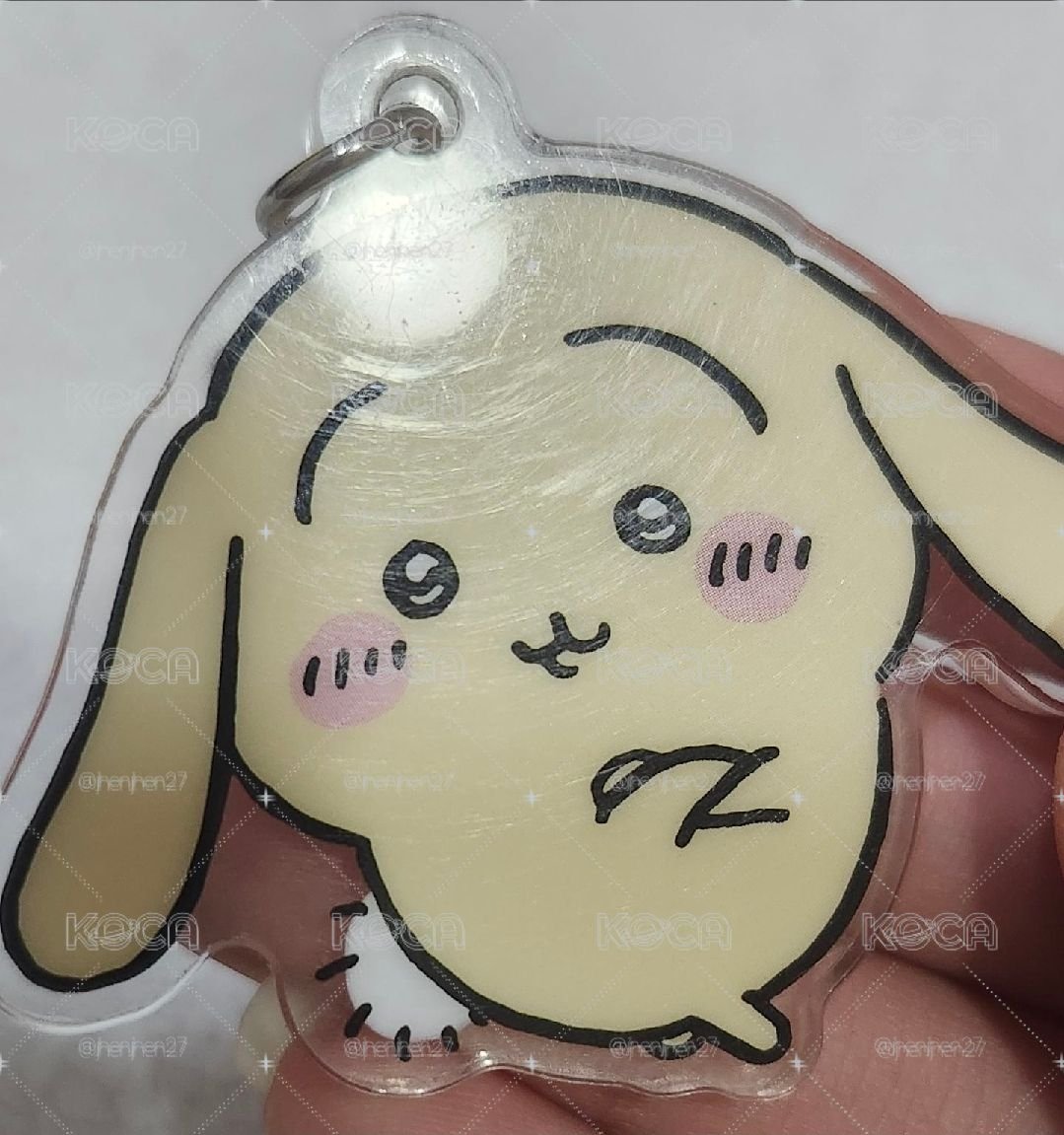 兔兔一起