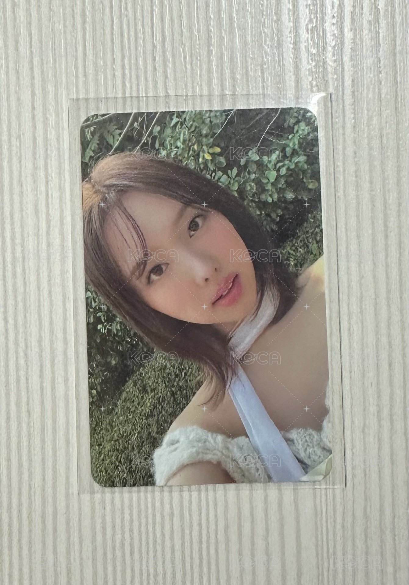 娜專卡
