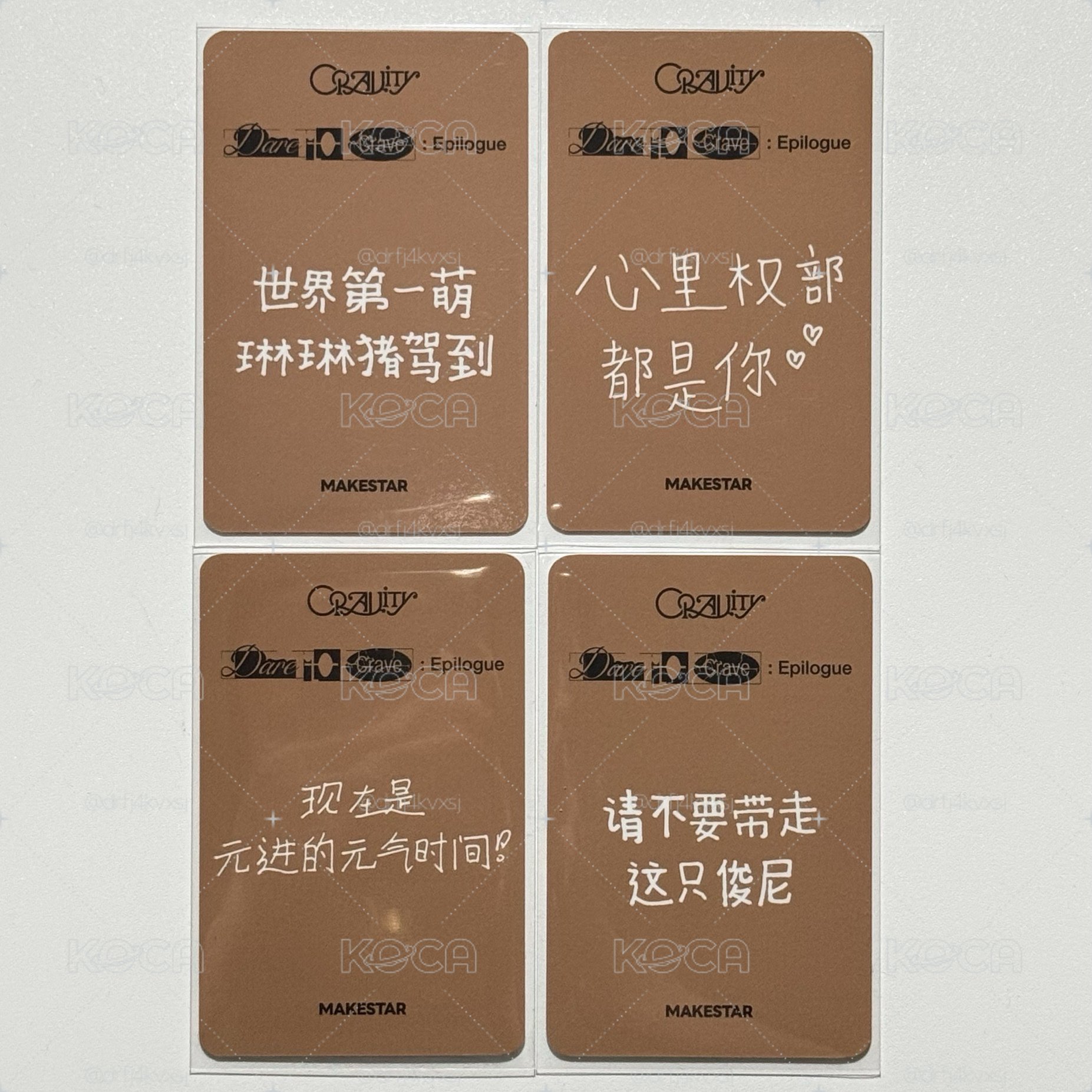 DtC : E ms 1.0 簽售卡 水豚