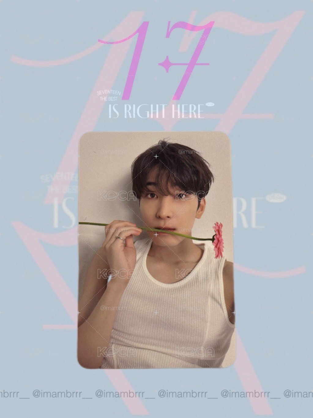 WONWOO [17 IS RIGHT HERE] DEAR ver. 克拉盤 / 咬花圓