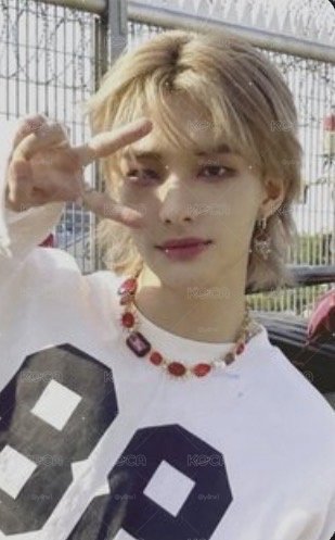 Stray Kids MAXIDENT BDM特典卡 鉉辰