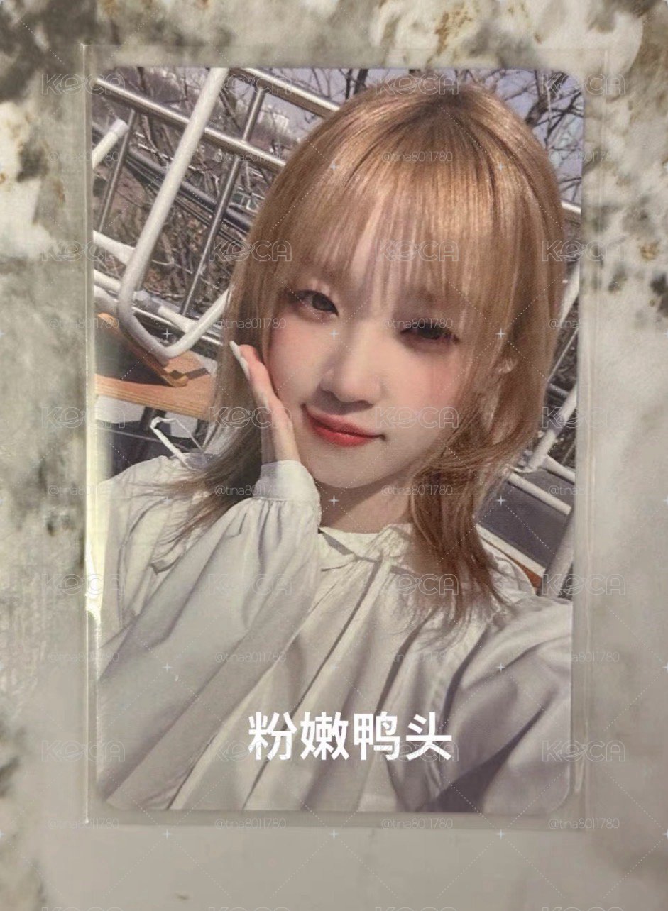 正規二 Fate 打歌卡 琦