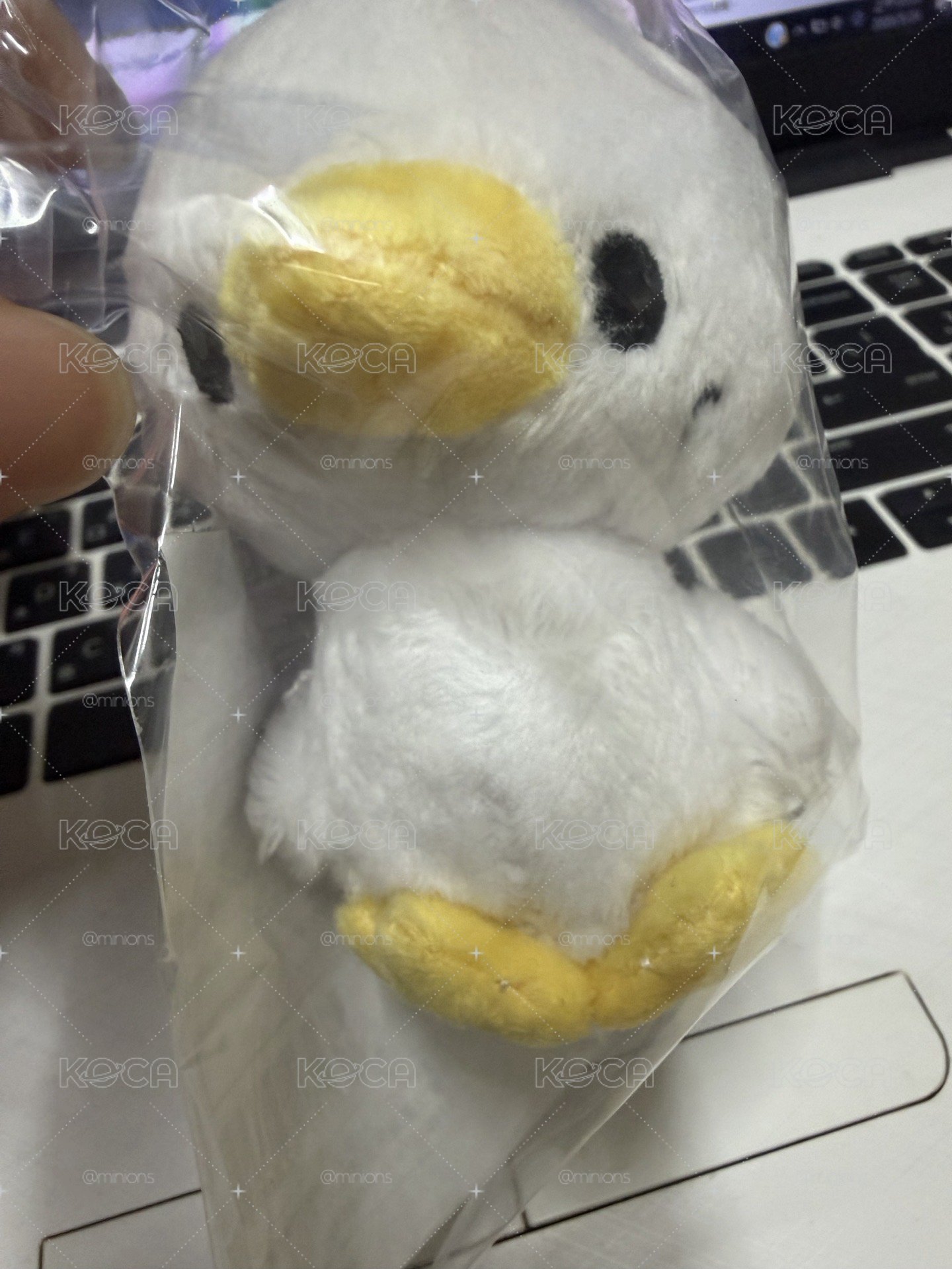 SUPER JUNIOR 動物娃