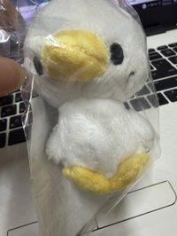 利特娃