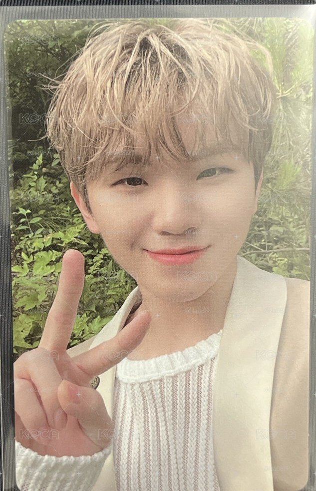 WOOZI