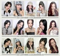 Collector, 2025 FM 日本場 場限