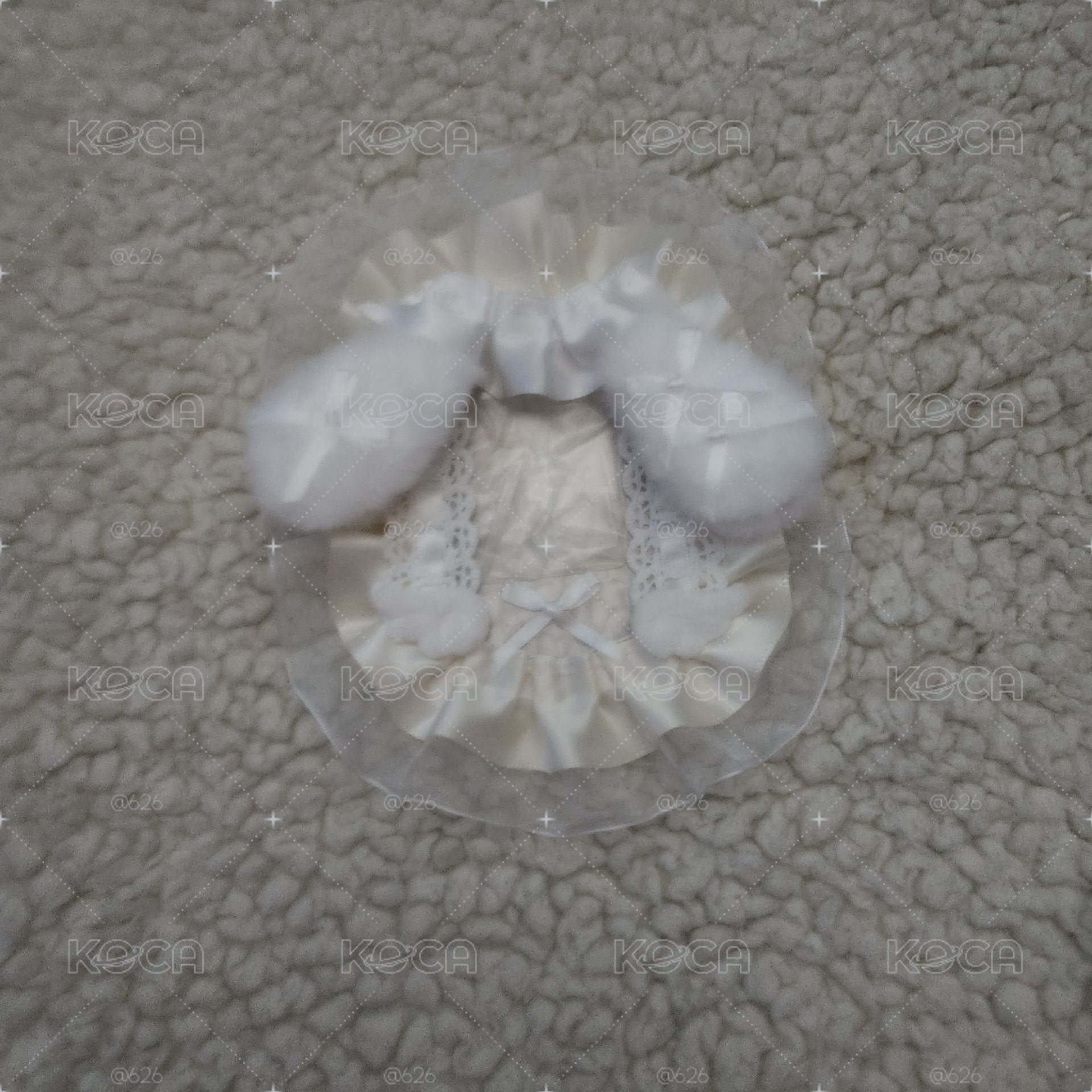 正面小狗卡套