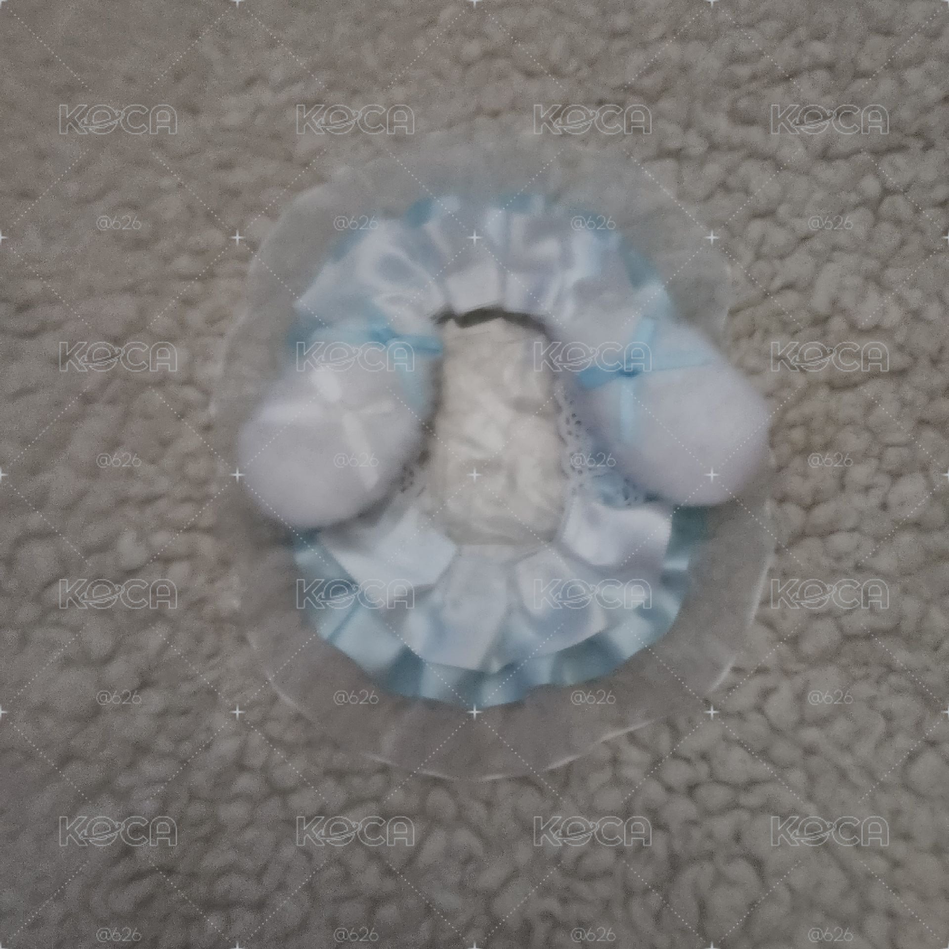 正面小狗卡套