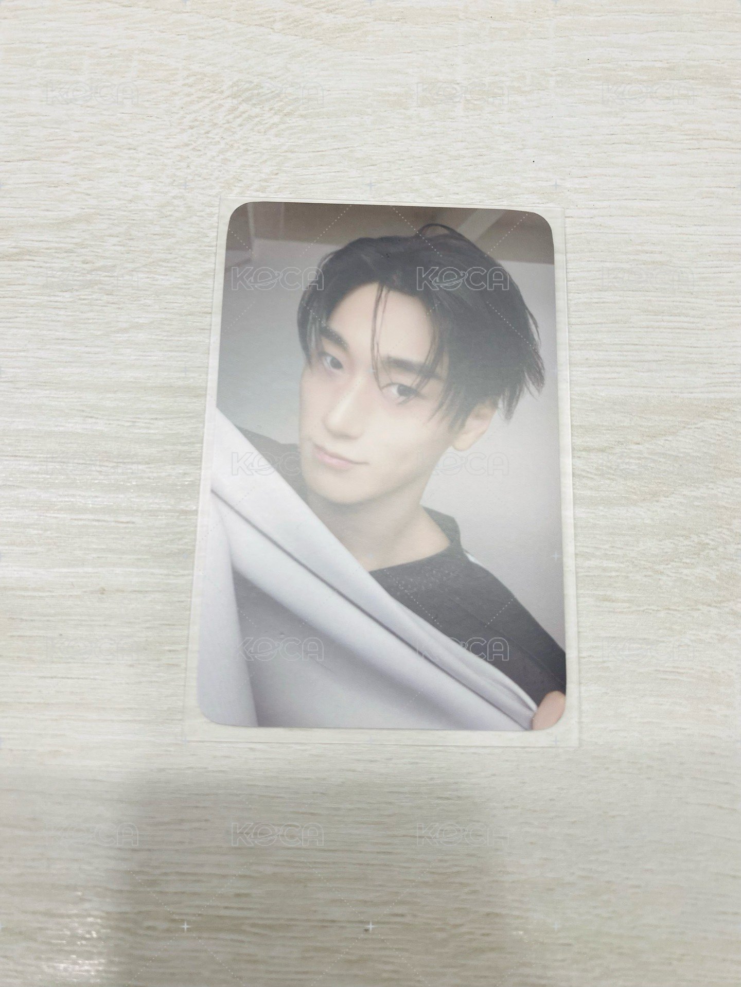 ANITEEZ IN COLOR 周邊卡 ANITEEZ X TINY PLUSHKEYRING