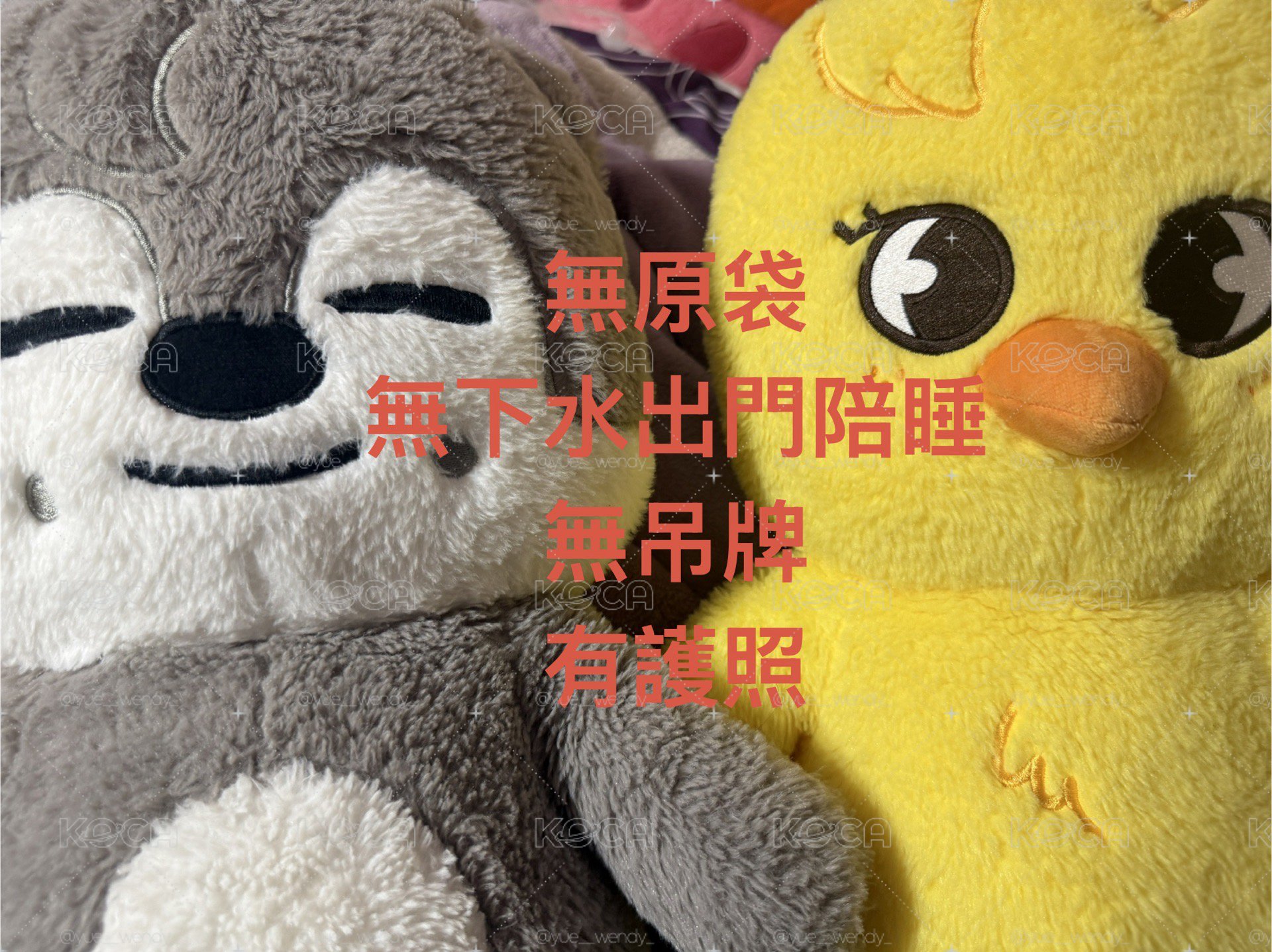 迷孩大盤