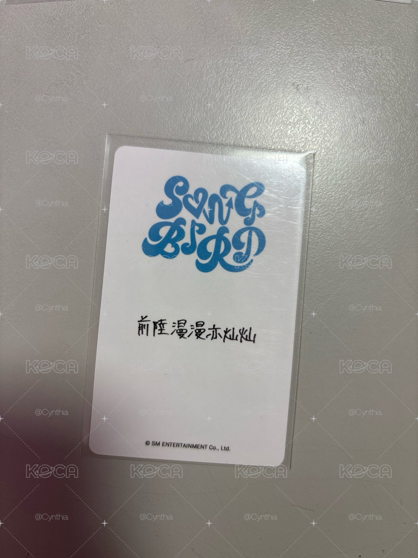 陸 中文卡背