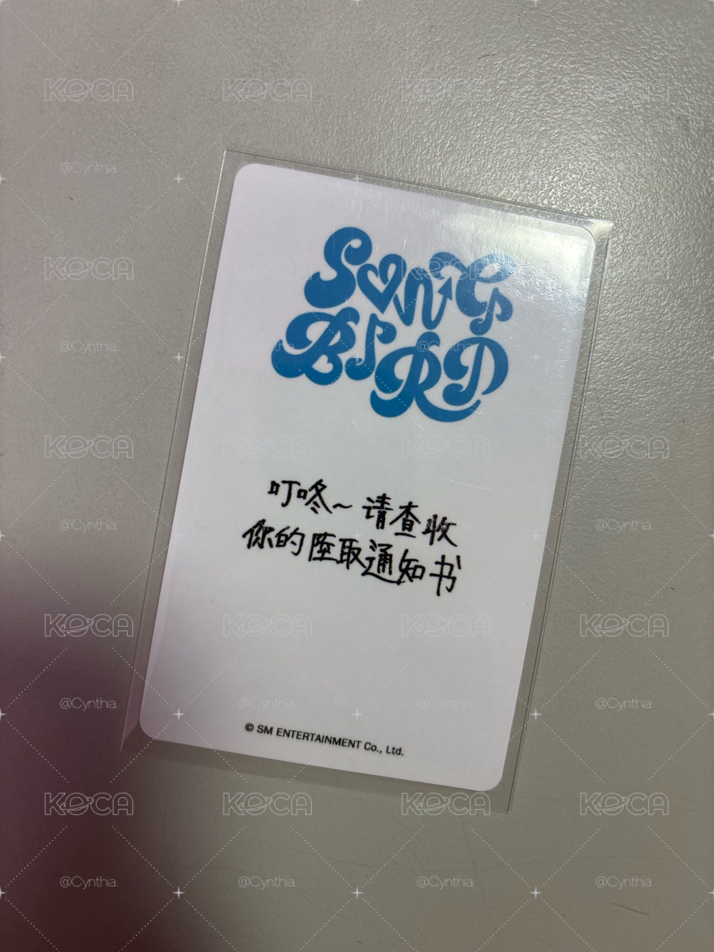 陸中文卡背
