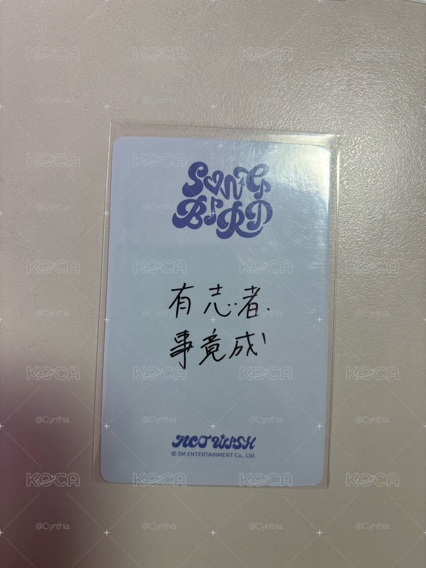 志 中文卡背
