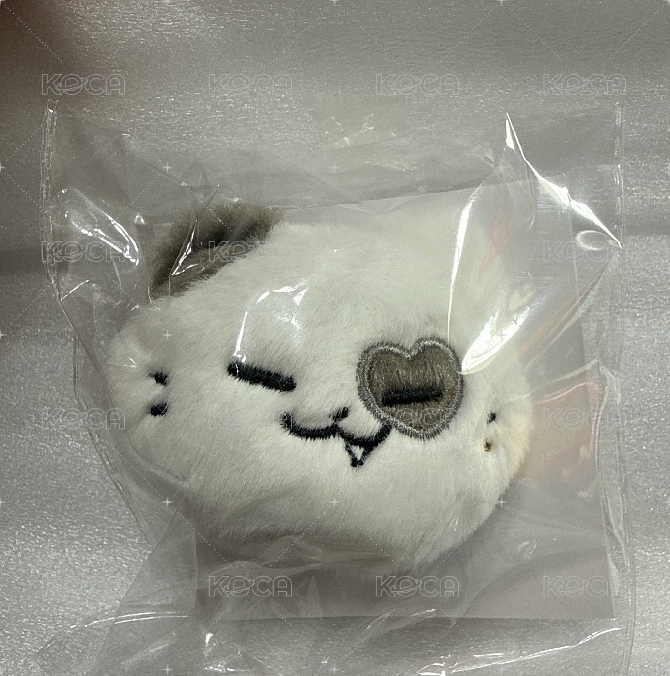 禮志