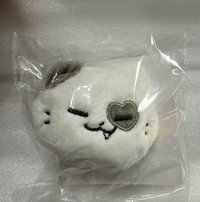 禮志