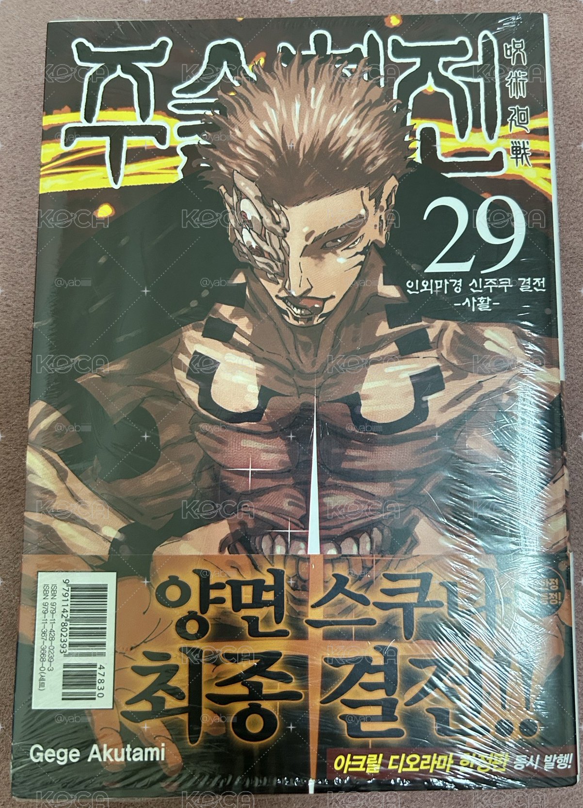 咒術迴戰 韓版漫畫29集