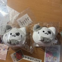 禮志
