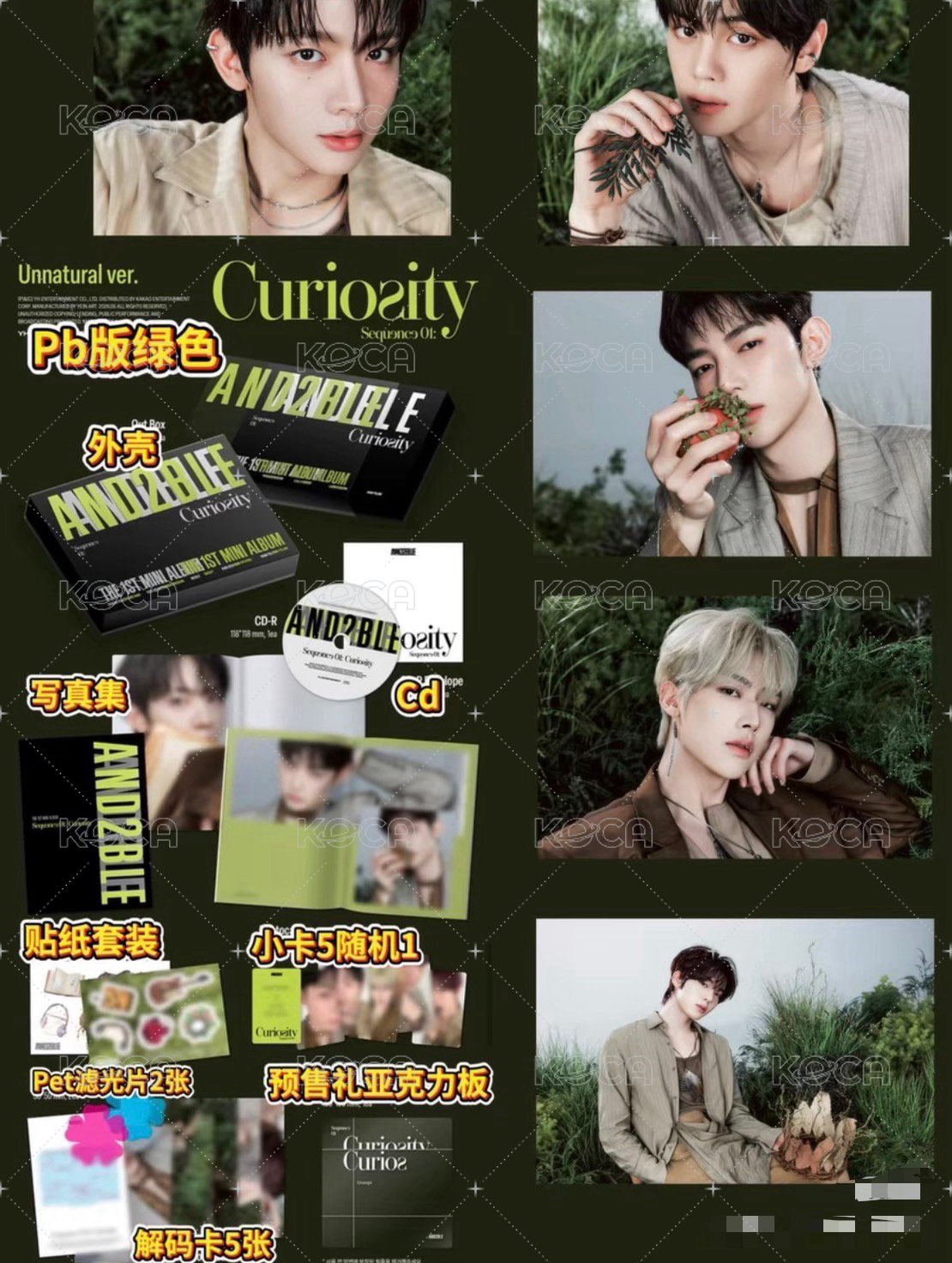 章昊，ZHANG HAO+綠版專