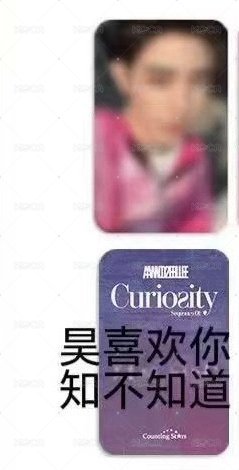 章昊，ZHANG HAO+粉版專