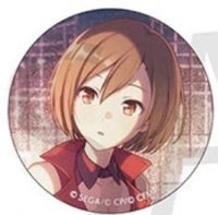 細閃 vol.9 B 徽章 BFes花前