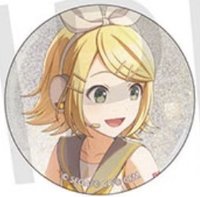 細閃 vol.9 B 徽章 BFes花前