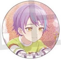 細閃 vol.9 B 徽章 BFes花前