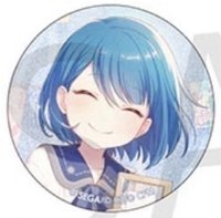 細閃 vol.9 B 徽章 BFes花前