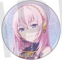 細閃 vol.9 B 徽章 BFes花前