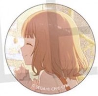 細閃 vol.9 B 徽章 BFes花前