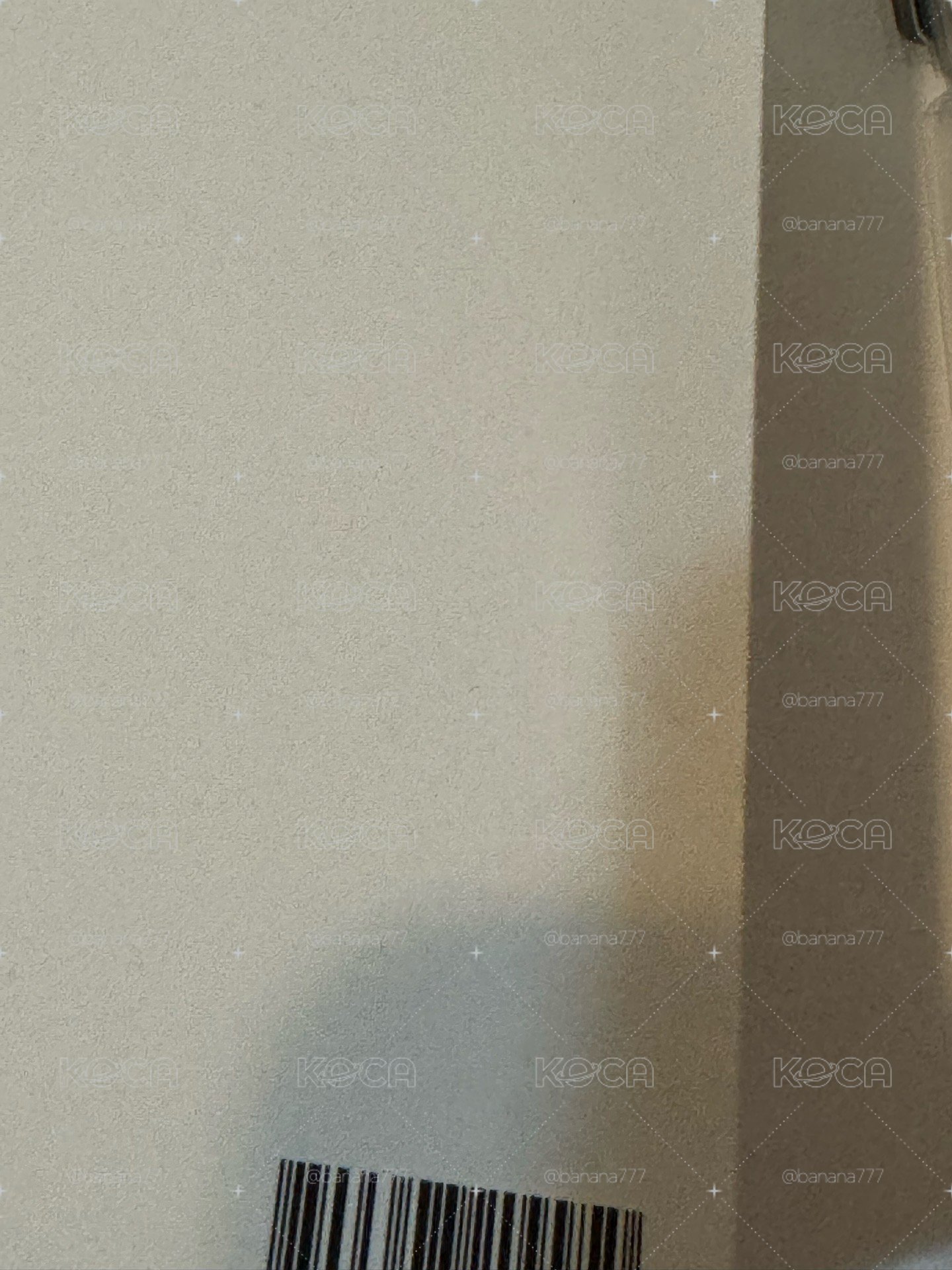 QWER手燈+安可場裝飾一組