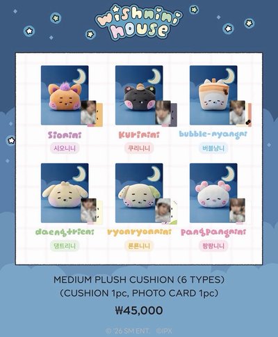 NCT WISH WISHNINI 首爾快閃(ㄧ）
