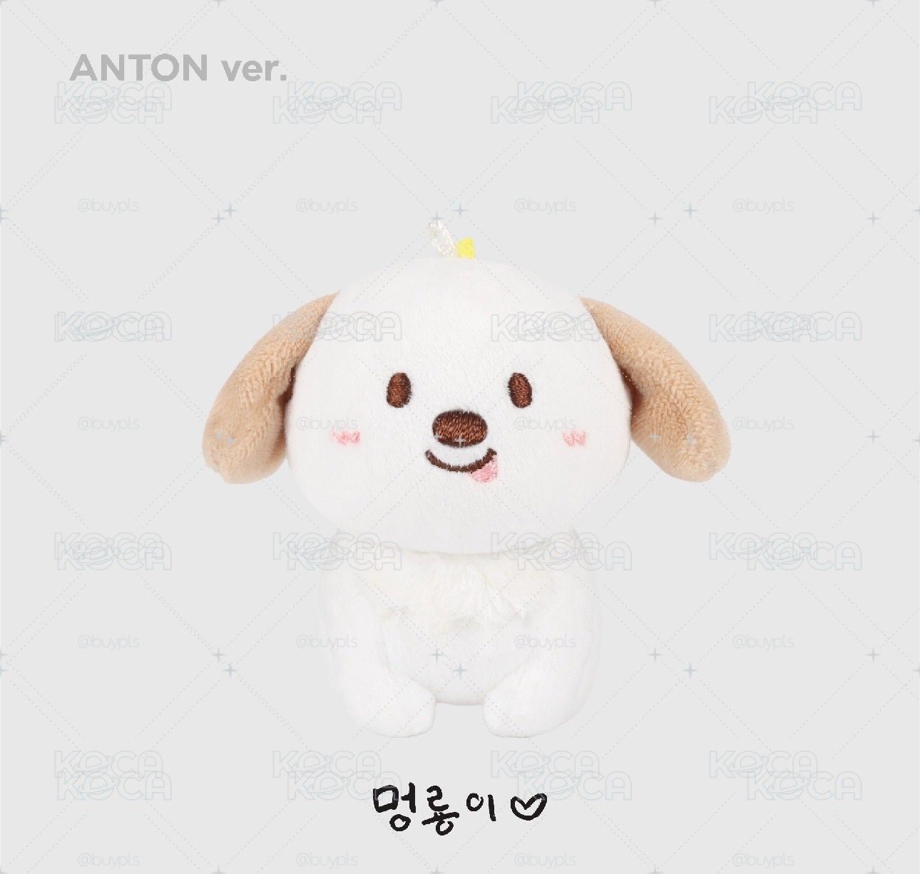 Riize Anton 情人節 原皮狗龍