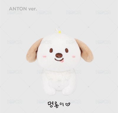 Riize Anton 情人節 狗龍