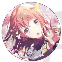 細閃 vol.42 C 徽章 wl花後