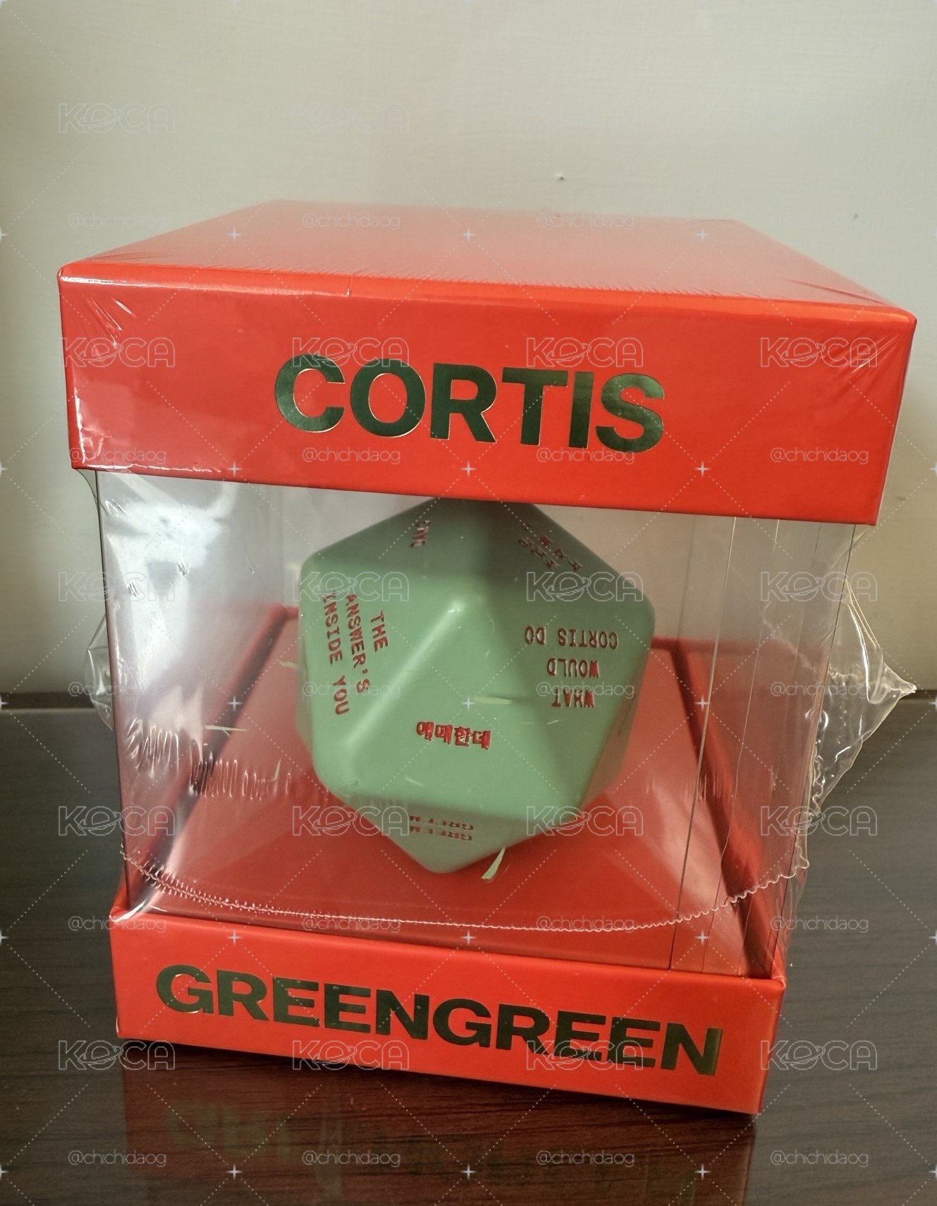 Cortis 全新骰子專
