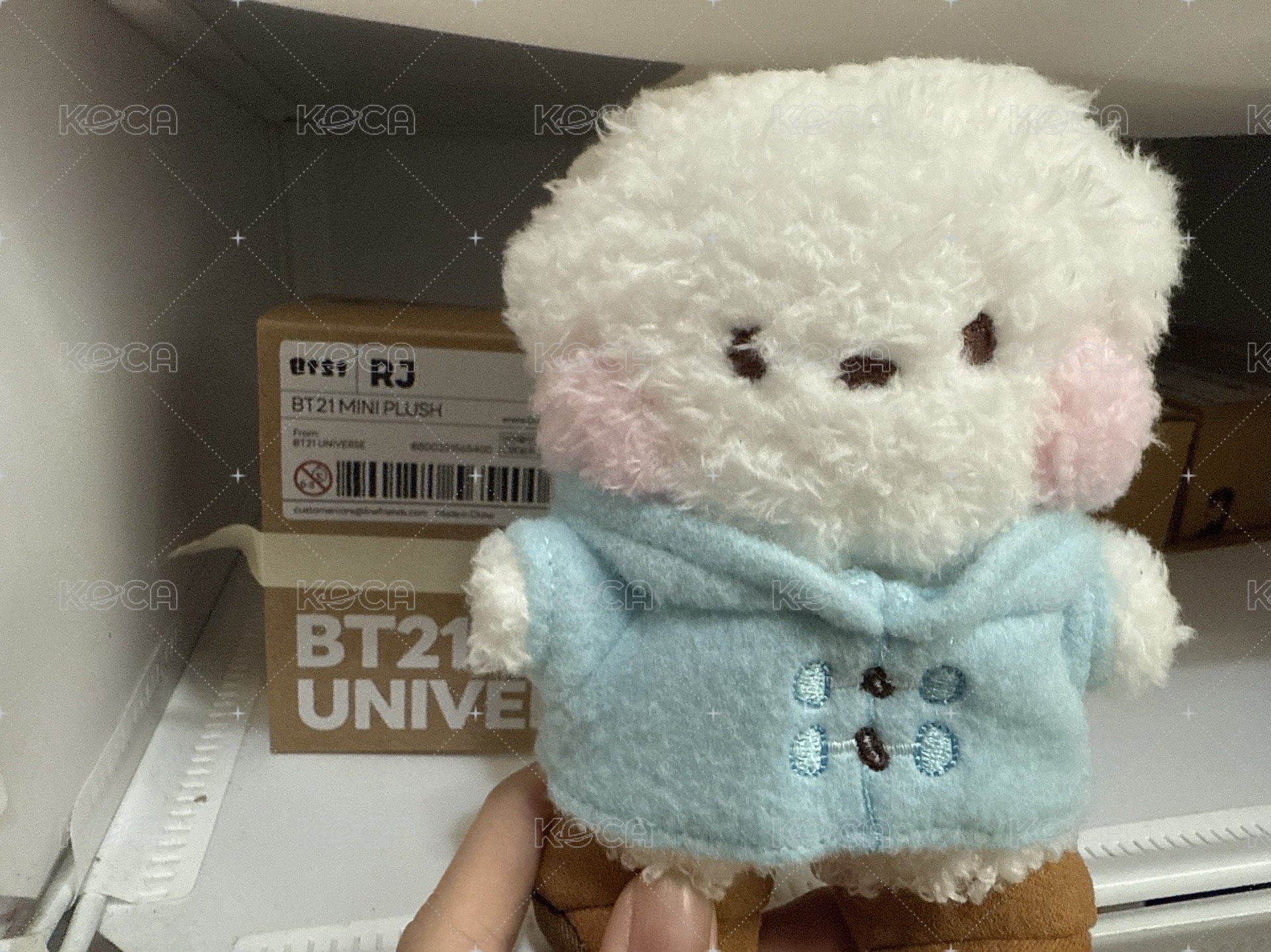 mini RJ