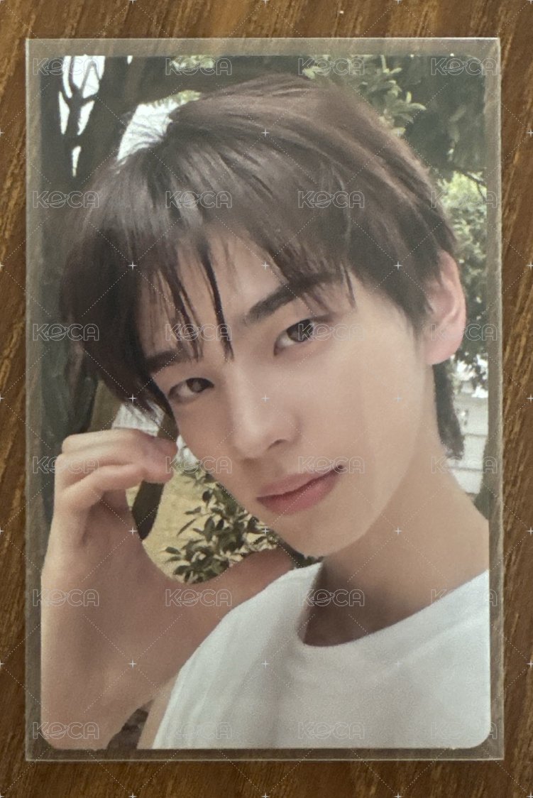 迷二 now ver. 1