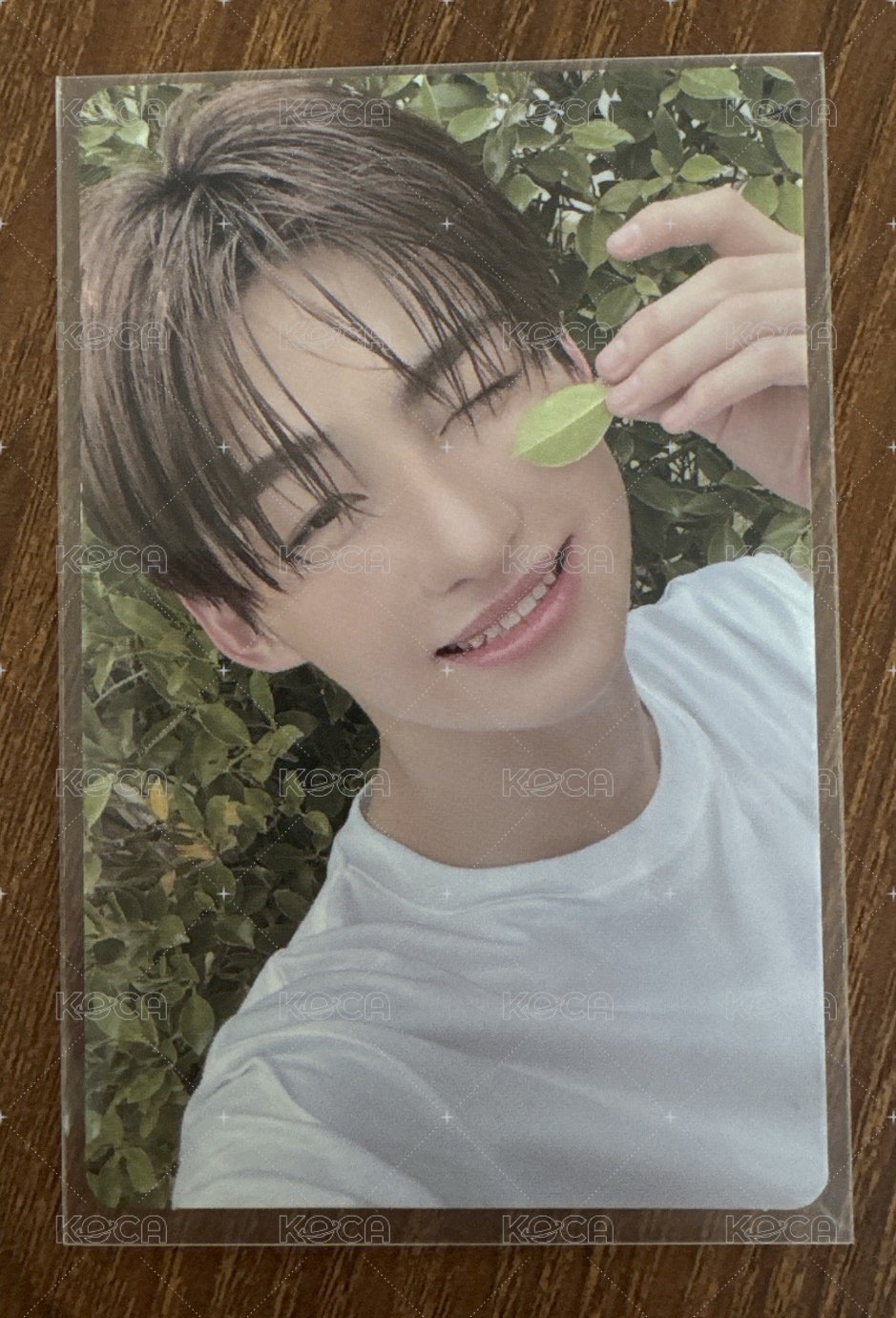 迷二 now ver. 5